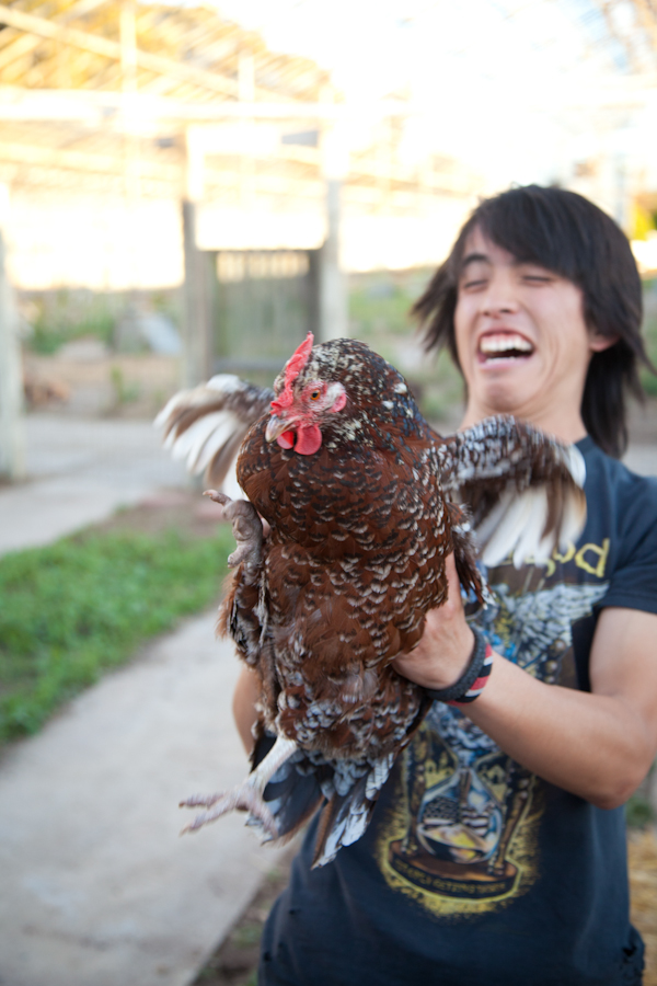 Kyle chin loves chickens. Photo: Ruano.