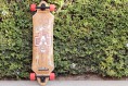 Board Review: The Arbor “Prodigy”